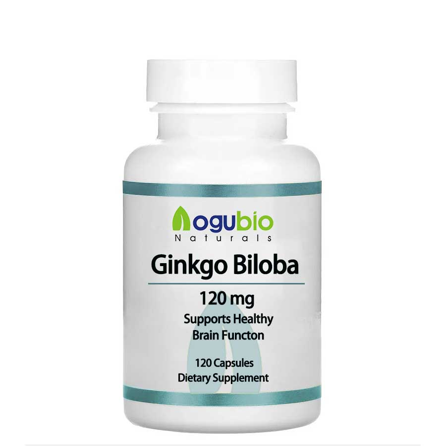 Ginkgo biloba leaf powder (1)